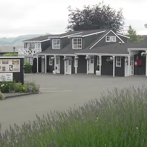 Mews New Zealand